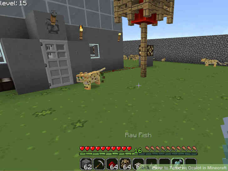 Image intitulé Apprivoiser un Ocelot dans Minecraft Étape 3